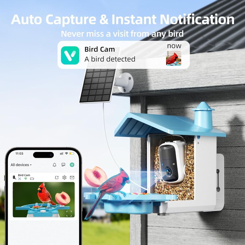 Bird Feeder with Camera for Ou - Watches Original recensie en prijs